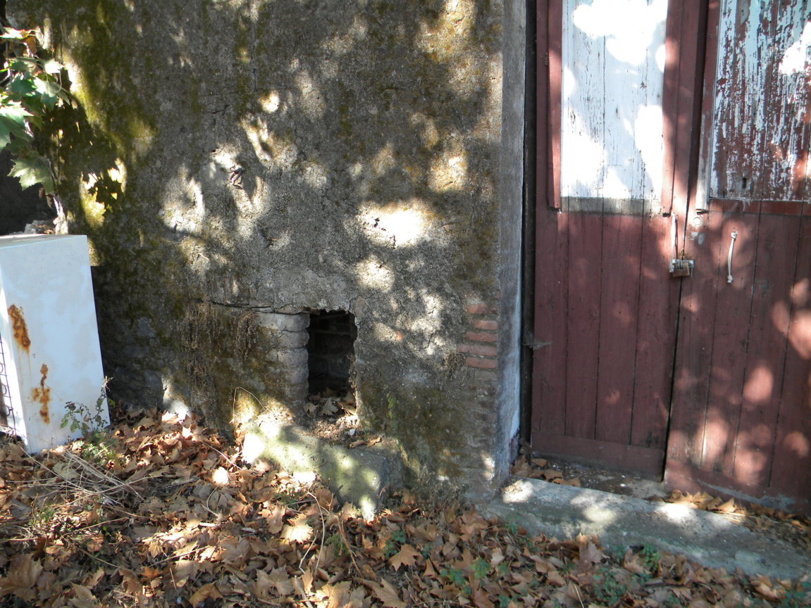 DSCN8186 .JPG